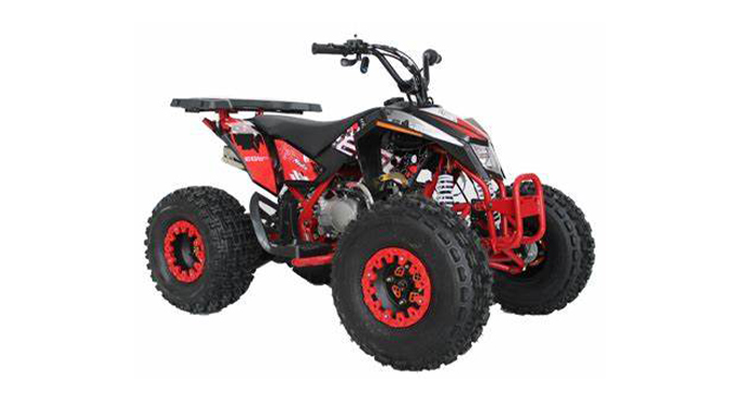 EGL Motor Recall of Youth ATVs Due to Injury Hazard and Violation of Federal ATV Safety Standard