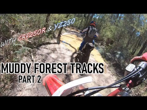 Muddy Forest Trails Ride CRF250&YZ250