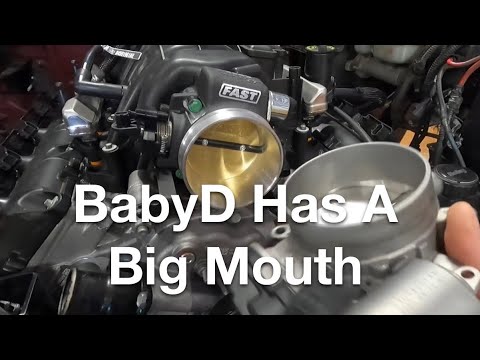 BabyD The HEMI Dakota Has A Big Mouth!!!