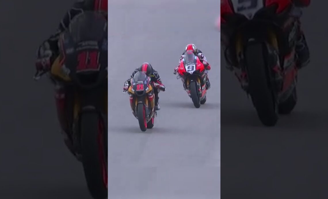 The final lap of Superbike race one was a battle between Mathew Scholtz and Danilo Petrucci.