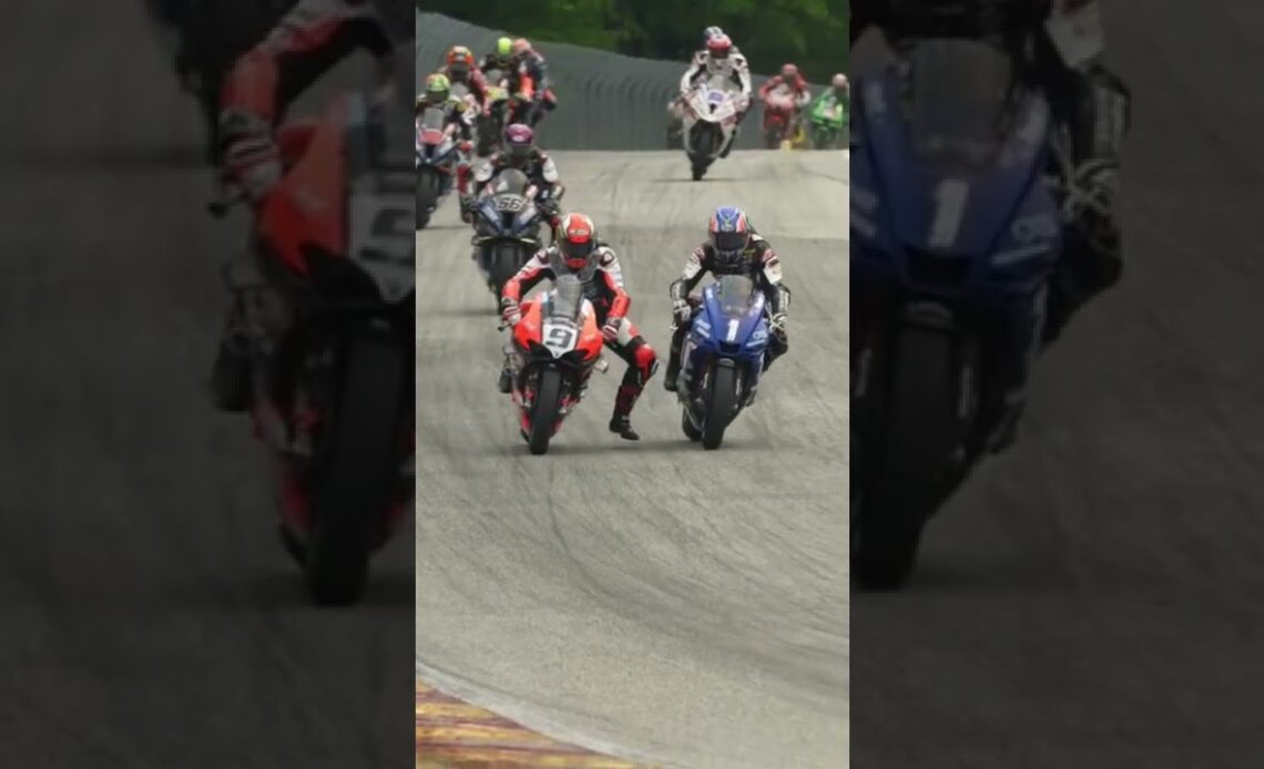 Things are getting rowdy in the Medallia Superbike Class #shorts #motorcycle #motorsport