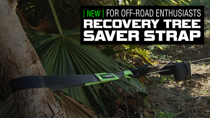 220725 3 x 8' Recovery Tree Saver Strap (678)