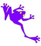 Purple Frog (Forum Supporter)