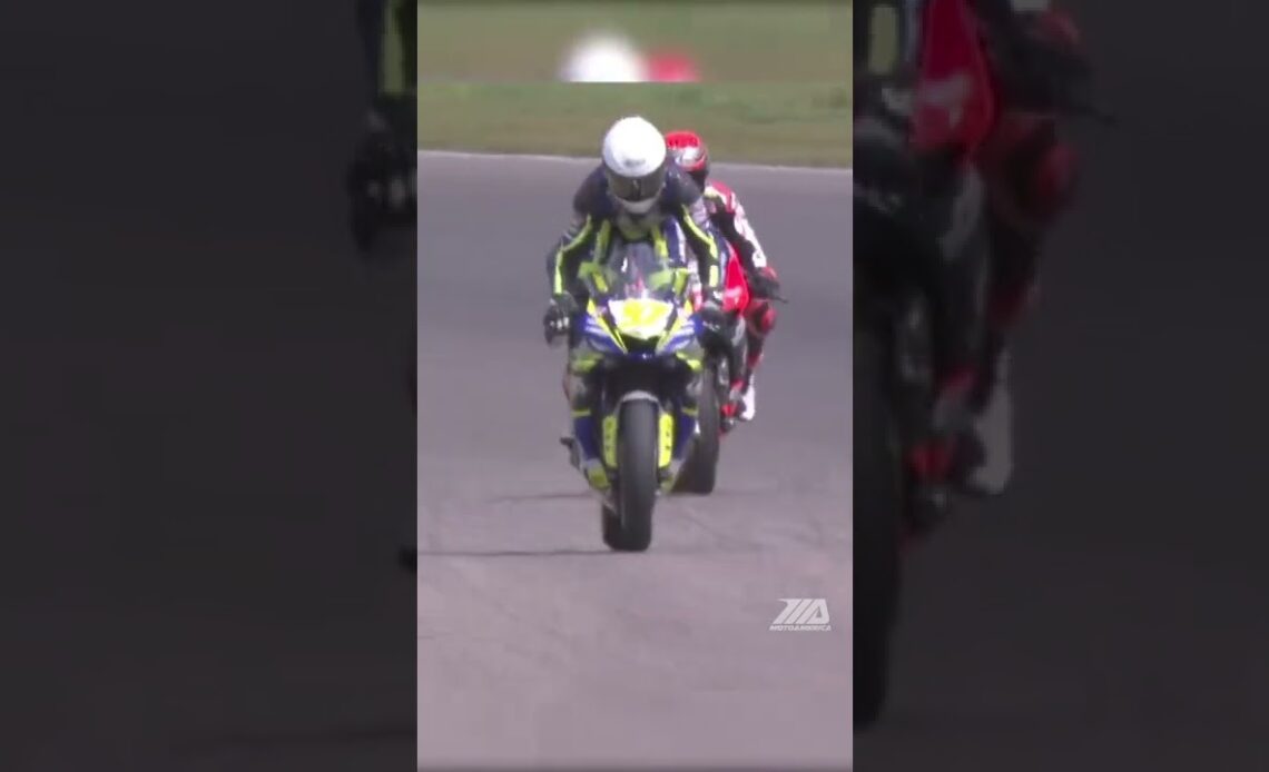 Rocco Landers rips a wheelie after his first super sport victory. #motorcycle #wheelie #shorts