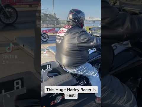 Gigantic Harley Racer has Skills!