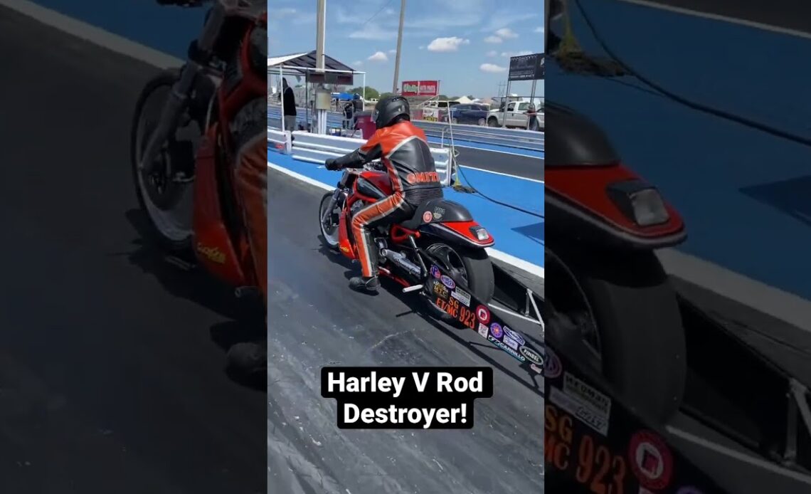 Harley V Rod Destroyer