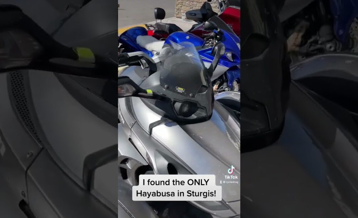 We Found the ONLY Hayabusa in Sturgis!