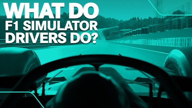What Do F1 Simulator Drivers Do?