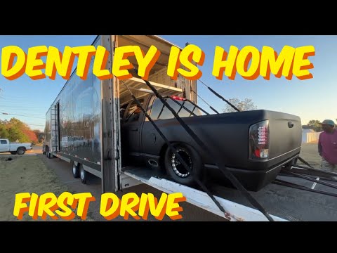 After Years Away Dentley is Home!!!