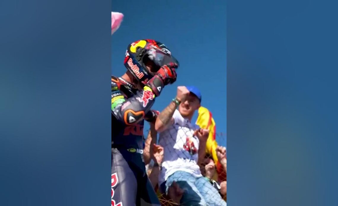 Augusto Fernandez's World-Championship-winning celebration 🐰 | #ValenciaGP 🏁