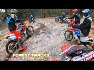 Forest Tracks w/ The Boys