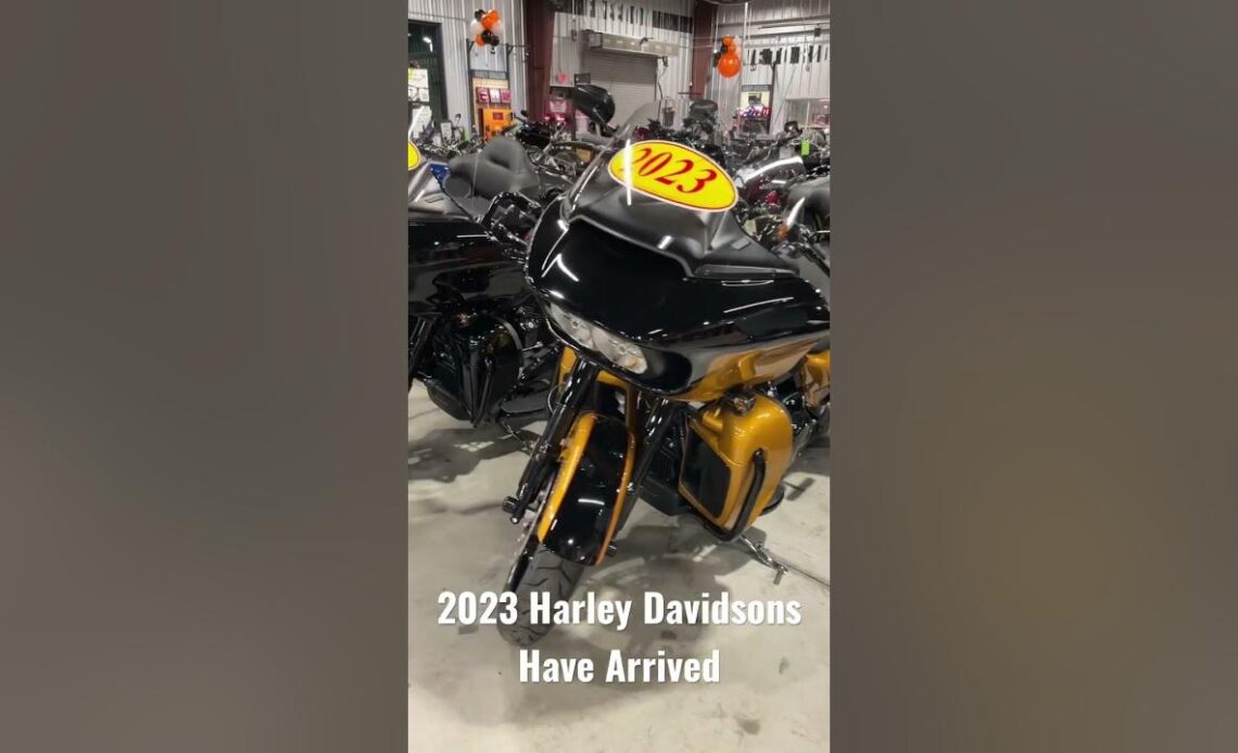 The New Harleys Have Arrived!