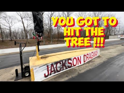 You Got To Hit The Tree !!!