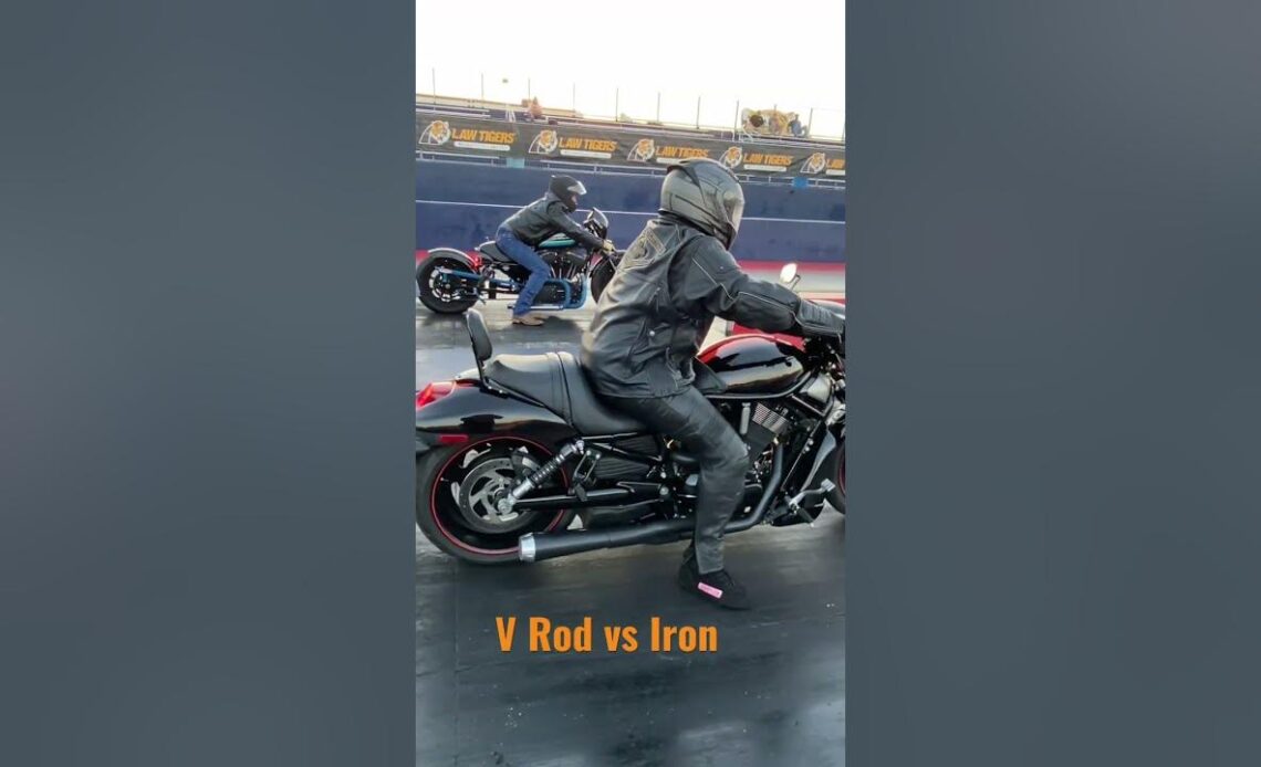 Harley V-Rod vs Harley Iron