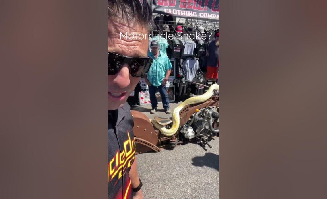 He Rides His Motorcycle with a 10-Foot Python!