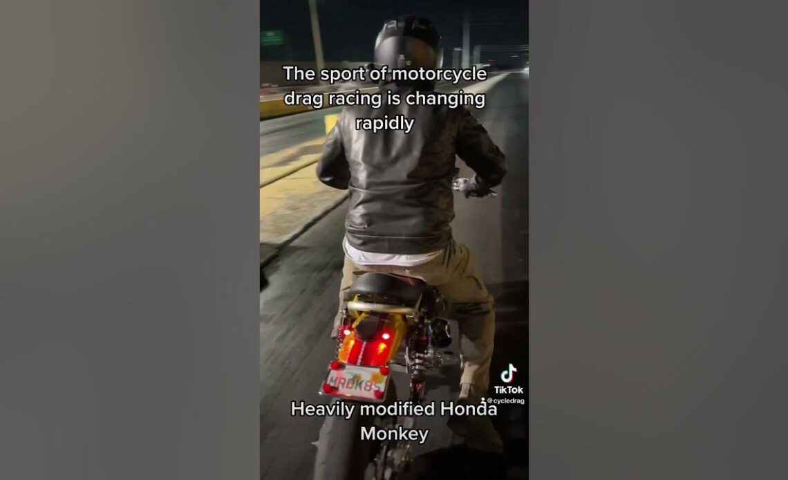 Honda Monkey Drag Bike!