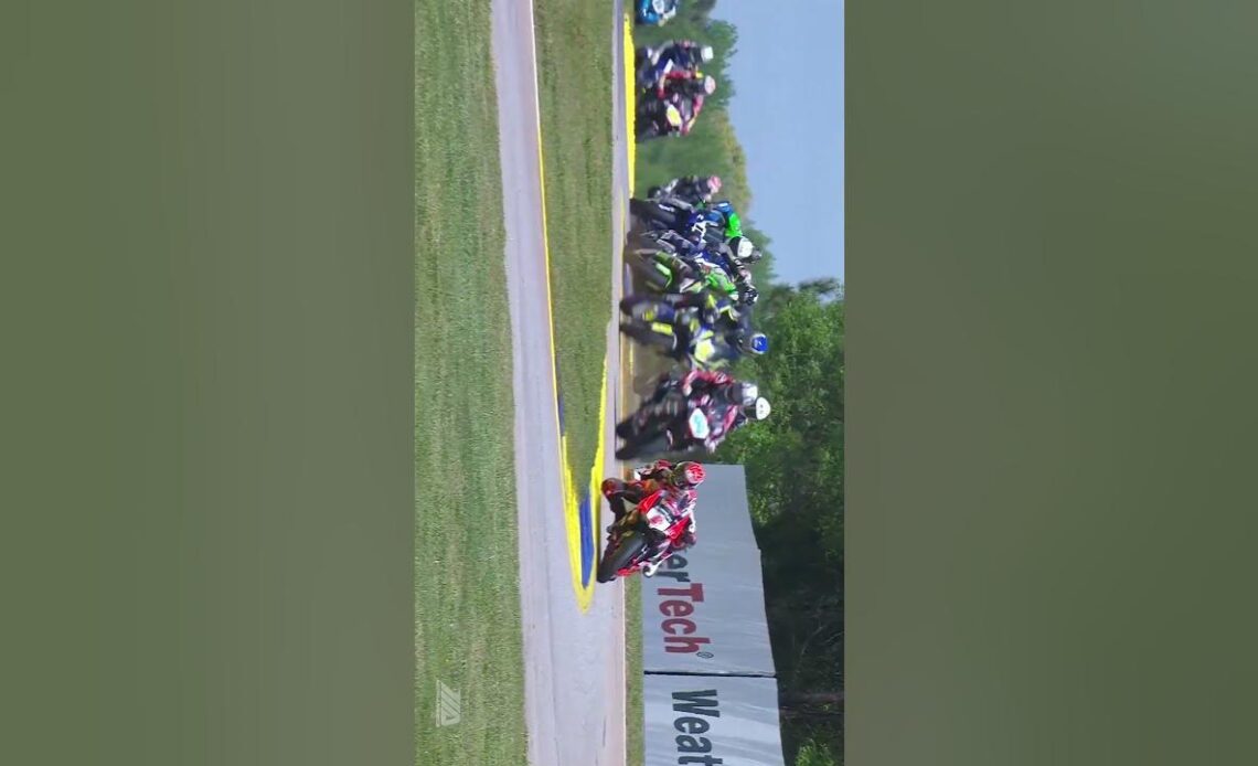 MotoAmerica bikes at Michelin Raceway Road Atlanta. Is there any sight more glorious than that?