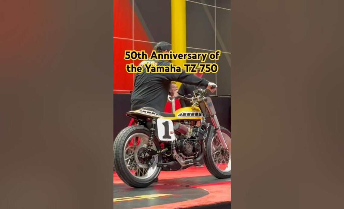 Big Money Coming In For Yamaha TZ 750s