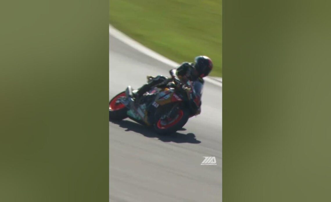 Mathew Scholtz knows the best way to celebrate is with stoppie. #MotoAmerica #superbike