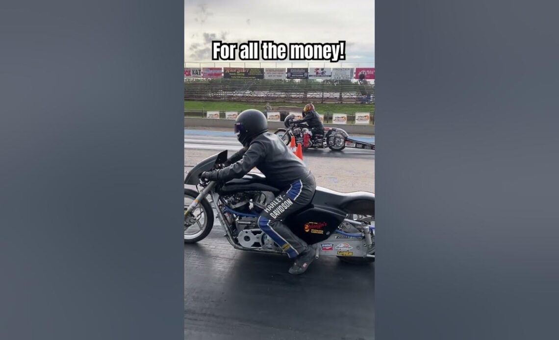 Only ONE of these FAST Harleys can win it all!