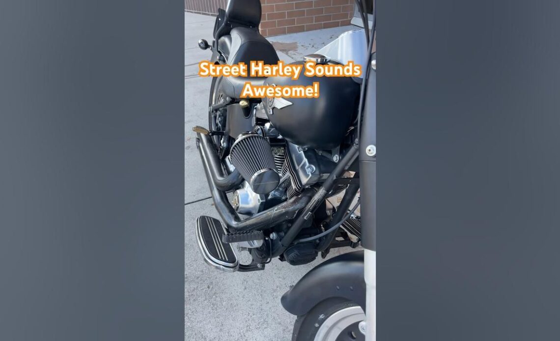 Street Harley Sounds Awesome!