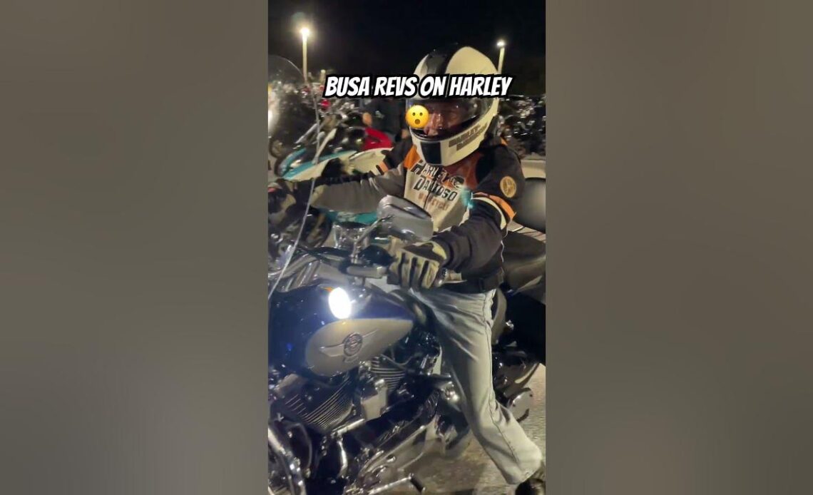 Busa Revs on Harley! 👂 😮